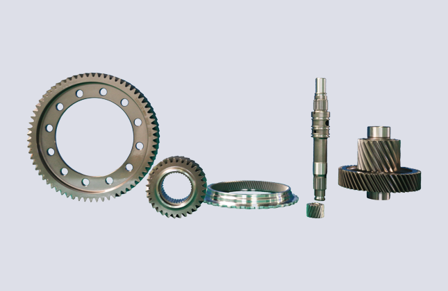 CS for New Energy Vehicle Gear